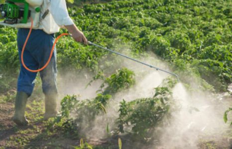 Πιστοποίηση Αγροτών για την Ορθολογική χρήση γεωργικών φαρμάκων